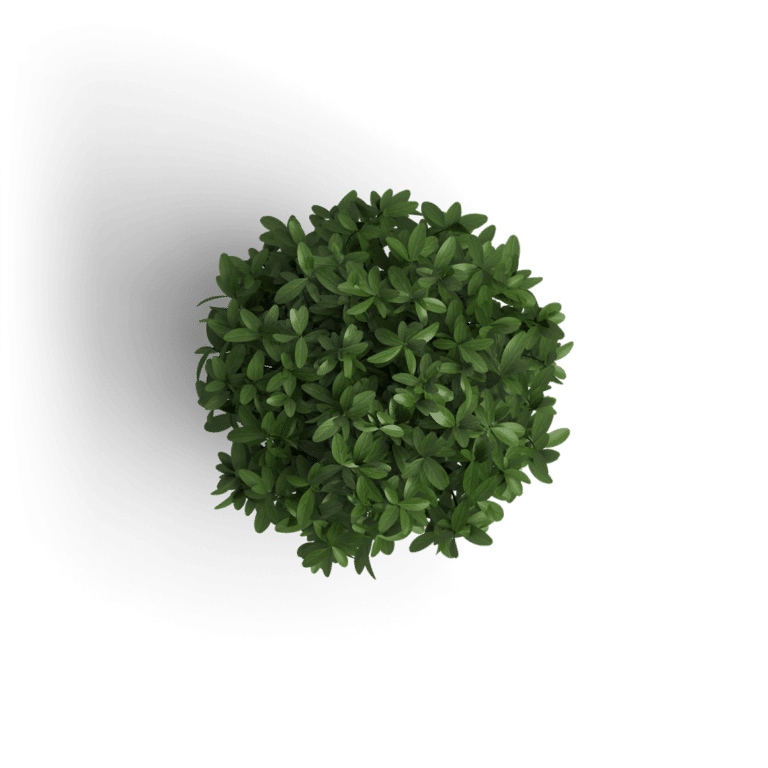 object_plant_1-75 Dot Media workspace - Small green decorative plant for modern office aesthetics.