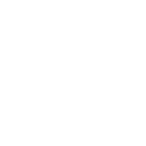 Social Media icon