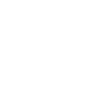 Motion icon