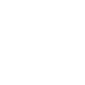 Motion icon