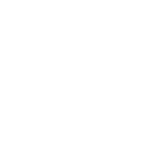 Printing Press icon