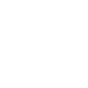 Desighn icon