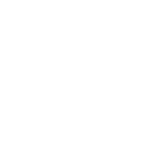 Social Media icon