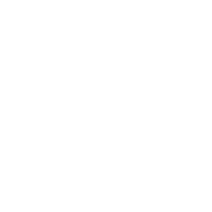 Motion icon