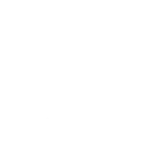 Printing Press icon