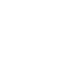 Drone icon