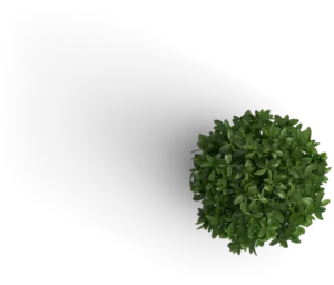 Dot Media workspace - Small green decorative plant for modern office aesthetics.